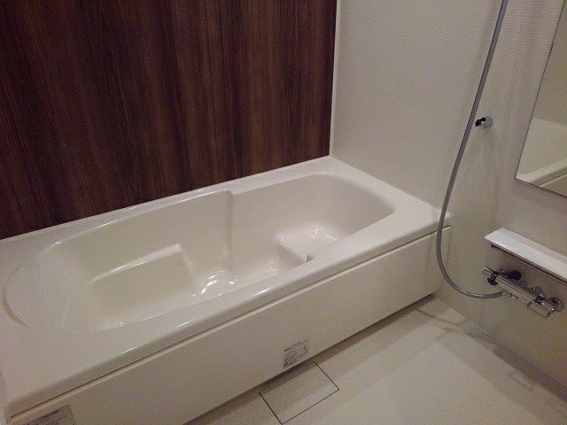 フェリチータ坂東C２０１浴室