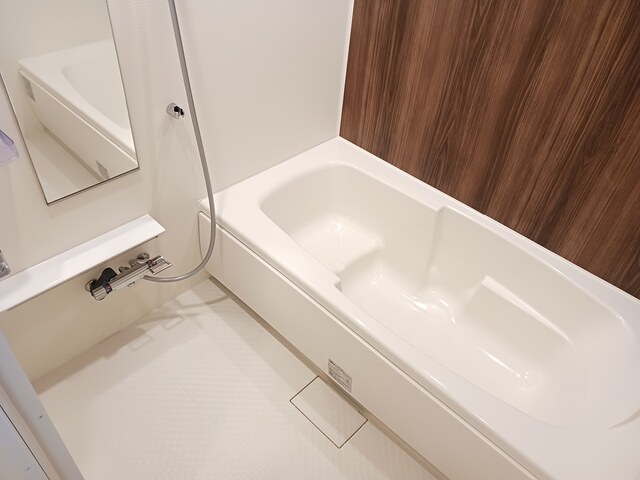 フェリチータ坂東C２０２浴室