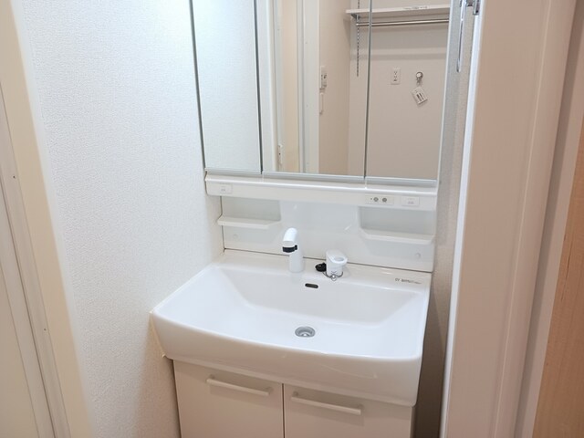 フェリチータ坂東C２０２洗面